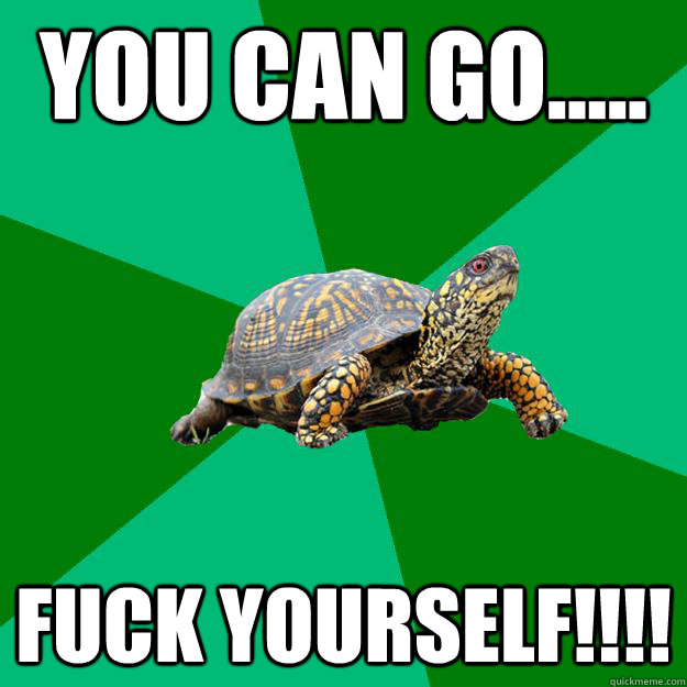 you can go..... FUCK YOURSELF!!!!  Torrenting Turtle