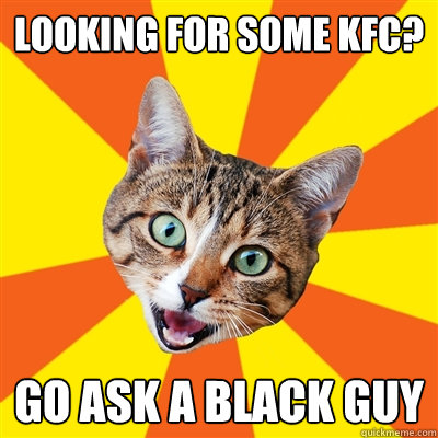 Looking for some KFC? go ask a black guy  Bad Advice Cat