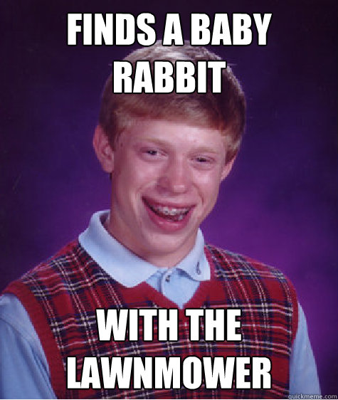 Finds a baby rabbit with the lawnmower  Bad Luck Brian