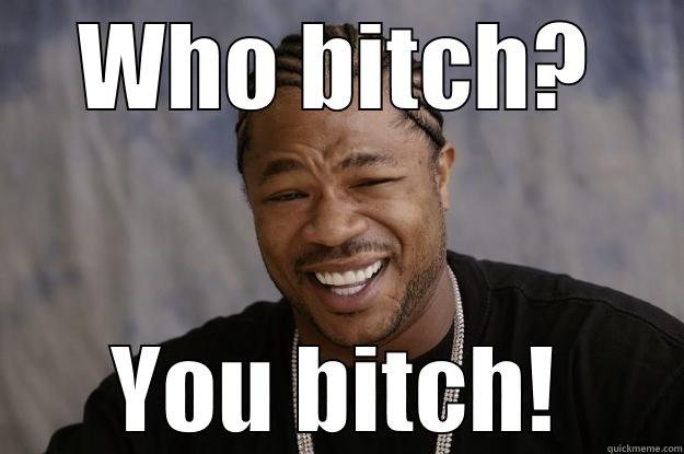 WHO BITCH? YOU BITCH! Xzibit meme