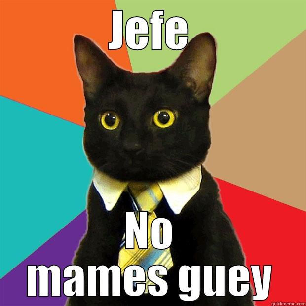 JEFE NO MAMES GUEY Business Cat