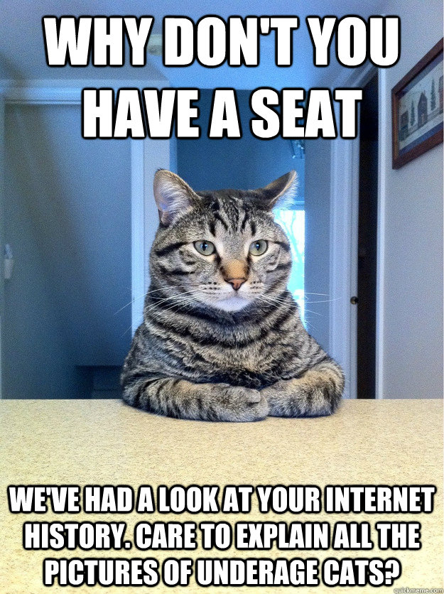 Why don't you have a seat We've had a look at your internet history. Care to explain all the pictures of underage cats?  Chris Hansen Cat