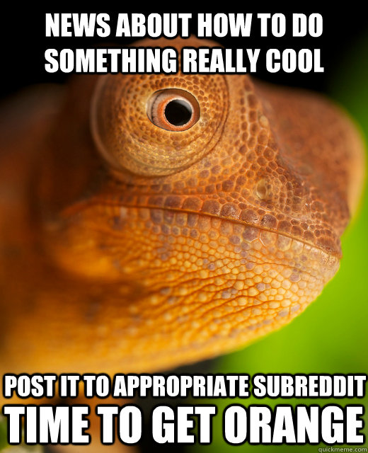 News about how to do something really cool Post it to appropriate subreddit  Time to get orange  The New Karma Chameleon