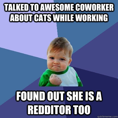 talked to awesome coworker about cats while working found out she is a redditor too  Success Kid