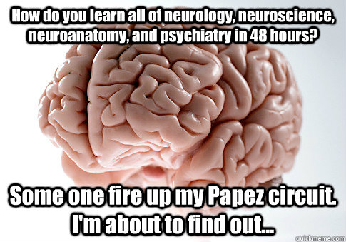 How do you learn all of neurology, neuroscience, neuroanatomy, and psychiatry in 48 hours? Some one fire up my Papez circuit.  I'm about to find out...   Scumbag Brain