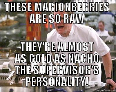 THESE MARIONBERRIES ARE SO RAW THEY'RE ALMOST AS COLD AS NACHO THE SUPERVISOR'S PERSONALITY! Chef Ramsay