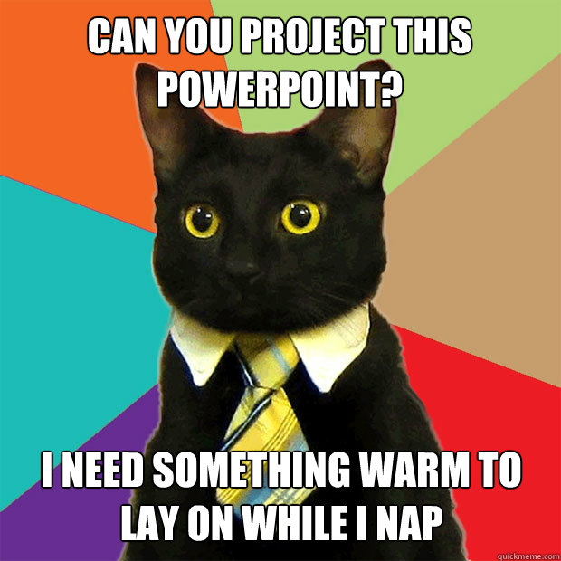 can you Project this powerpoint? I need something warm to lay on while I nap  Business Cat