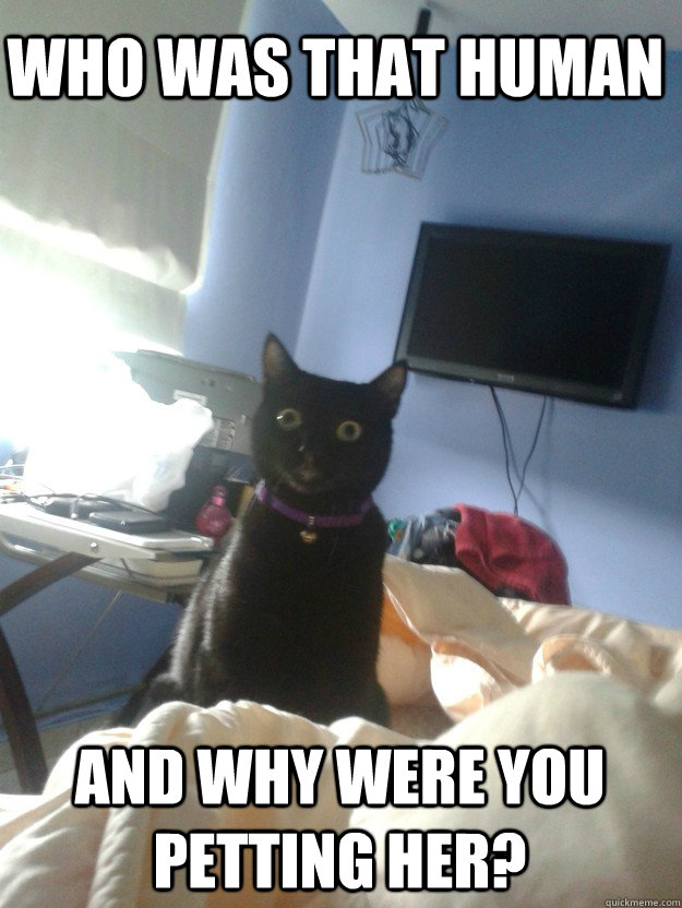 who was that human and why were you petting her?  overly attached cat