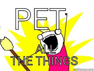 PET  ALL THE THINGS  All The Things