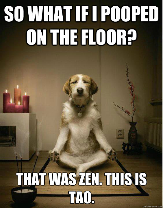 So what if I pooped on the floor? That was zen. This is Tao.  