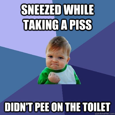 Sneezed while taking a piss didn't pee on the toilet  Success Kid