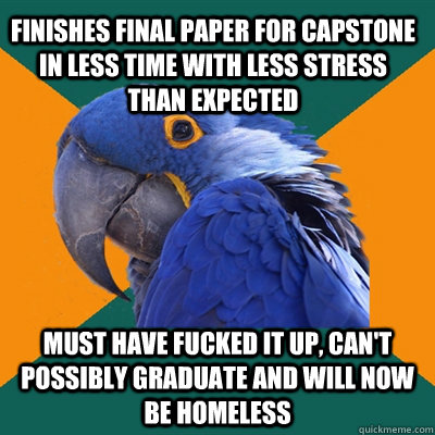 Finishes final paper for capstone in less time with less stress than expected Must have fucked it up, can't possibly graduate and will now be homeless - Finishes final paper for capstone in less time with less stress than expected Must have fucked it up, can't possibly graduate and will now be homeless  Paranoid Parrot