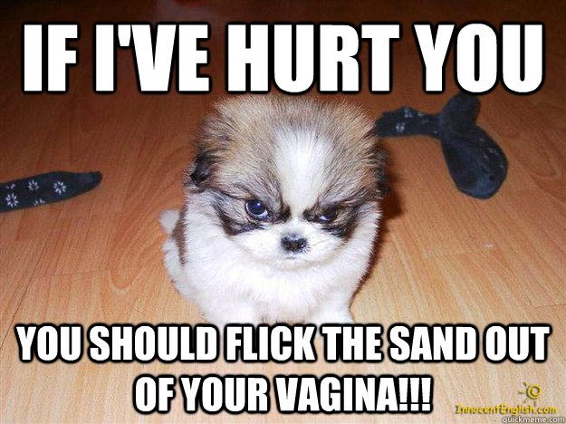 if i've hurt you you should flick the sand out of your vagina!!!  