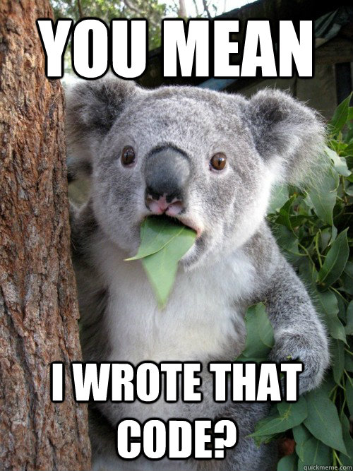 You mean I wrote that code?  Surprised Koala