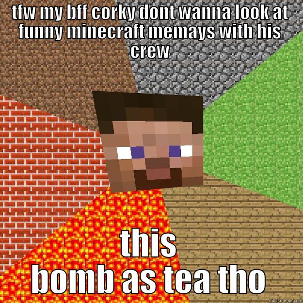 teafsdafsdf funny - TFW MY BFF CORKY DONT WANNA LOOK AT FUNNY MINECRAFT MEMAYS WITH HIS CREW THIS BOMB AS TEA THO Minecraft