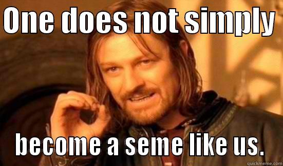 ONE DOES NOT SIMPLY  BECOME A SEME LIKE US. Boromir