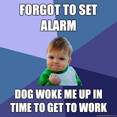 Forgot to set alarm Dog Woke me up in  time to get to work  Success Kid