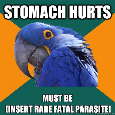 stomach hurts must be
 [insert rare fatal parasite]  Paranoid Parrot