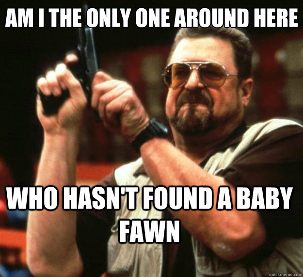 Am I the only one around here Who hasn't found a baby fawn  Big Lebowski