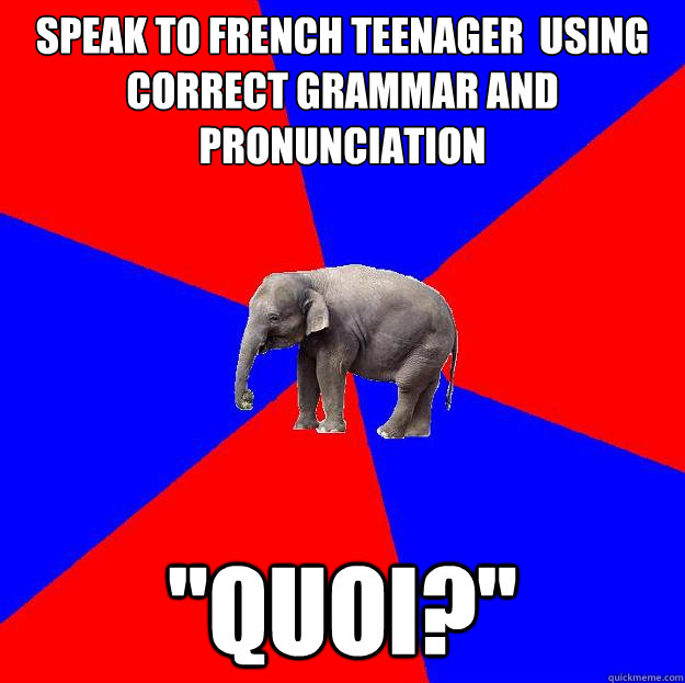 speak to French teenager  using correct grammar and pronunciation  