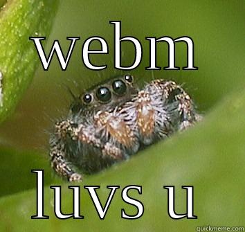 WEBM LUVS U Misunderstood Spider