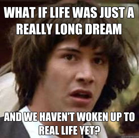 What if life was just a really long dream  and we haven't woken up to real life yet? - What if life was just a really long dream  and we haven't woken up to real life yet?  conspiracy keanu