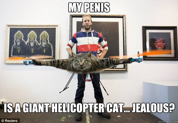 MY PENIS IS A GIANT HELICOPTER CAT... JEALOUS? - MY PENIS IS A GIANT HELICOPTER CAT... JEALOUS?  Helicopter Cat