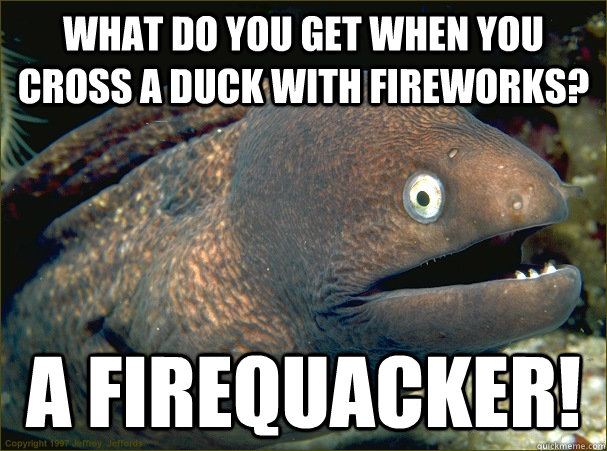 What do you get when you cross a duck with fireworks? A firequacker!  Bad Joke Eel