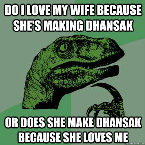 Do I love my wife because she's making Dhansak Or does she make Dhansak because she loves me  Philosoraptor