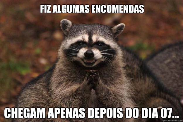 Fiz algumas encomendas Chegam apenas depois do dia 07...  Evil Plotting Raccoon