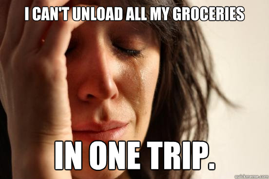 I can't unload all my groceries in one trip.  First World Problems