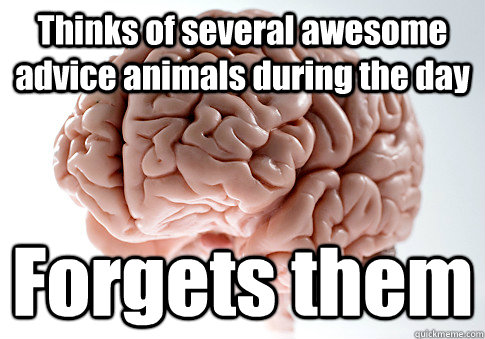 Thinks of several awesome advice animals during the day Forgets them  Scumbag Brain