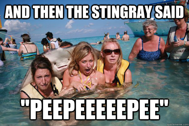 and then the stingray said 