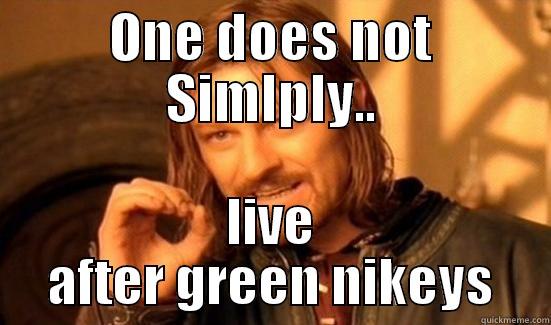 ONE DOES NOT SIMLPLY.. LIVE AFTER GREEN NIKEYS Boromir