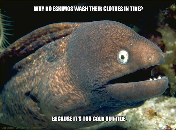 Why do eskimos wash their clothes in tide? because it's too cold out tide. - Why do eskimos wash their clothes in tide? because it's too cold out tide.  Bad Joke Eel