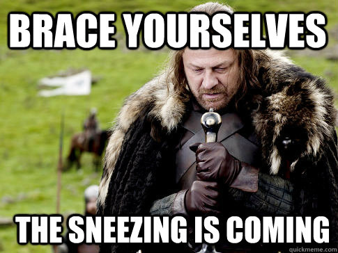 Brace Yourselves The Sneezing Is coming  Eddard Stark