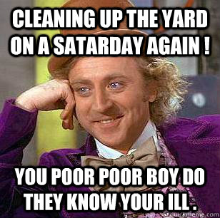 CLEANING UP THE YARD ON A SATARDAY AGAIN ! YOU POOR POOR BOY DO THEY KNOW YOUR ILL .  Condescending Wonka