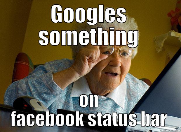 GOOGLES SOMETHING ON FACEBOOK STATUS BAR Grandma finds the Internet