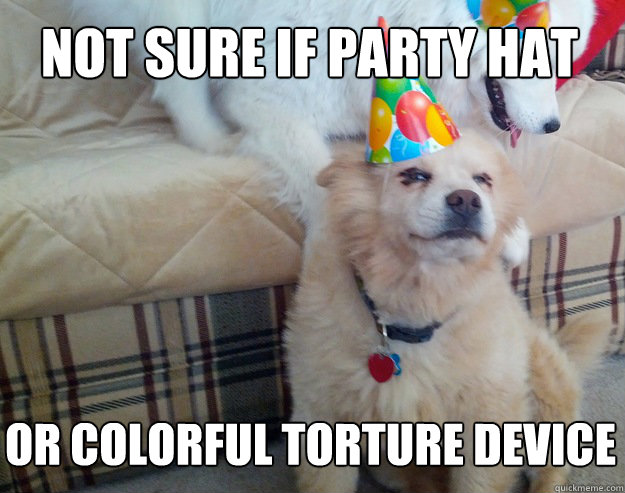 Not sure if party hat or colorful torture device  Party Hat Torture