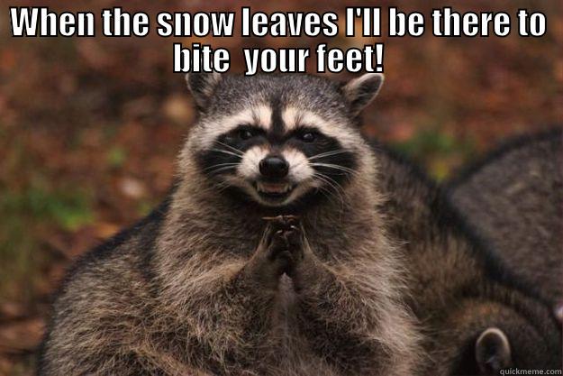 WHEN THE SNOW LEAVES I'LL BE THERE TO BITE  YOUR FEET!  Evil Plotting Raccoon