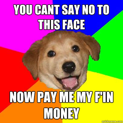 you cant say no to this face now pay me my f'in money  Advice Dog