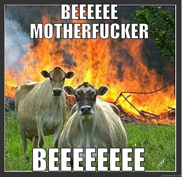 Evil cows - BEEEEEE MOTHERFUCKER BEEEEEEEE Evil cows