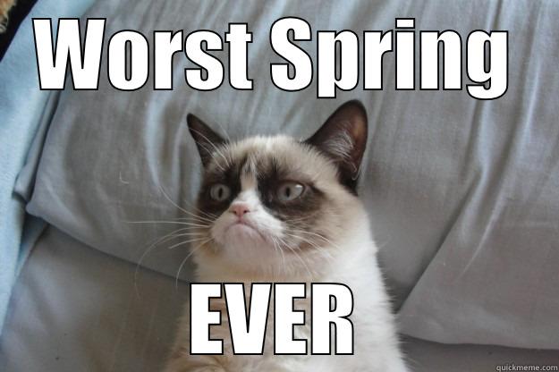 WORST SPRING EVER Grumpy Cat