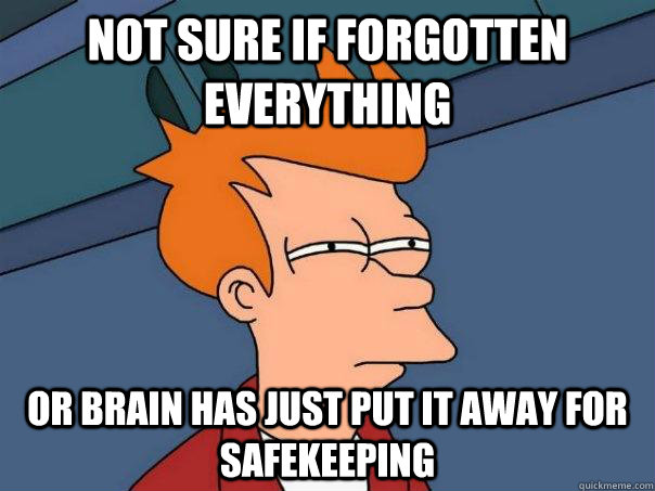 Not sure if forgotten everything Or brain has just put it away for safekeeping - Not sure if forgotten everything Or brain has just put it away for safekeeping  Futurama Fry