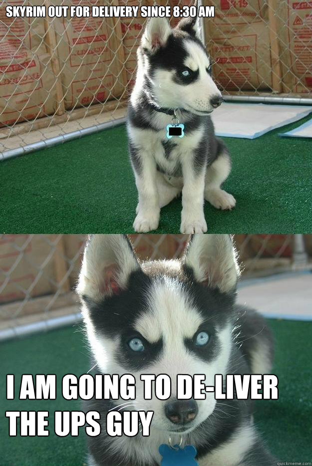 Skyrim out for delivery since 8:30 am I am going to de-liver the ups guy  Insanity puppy