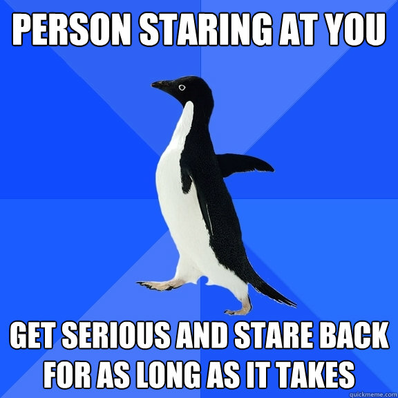 person staring at you get serious and stare back for as long as it takes  Socially Awkward Penguin