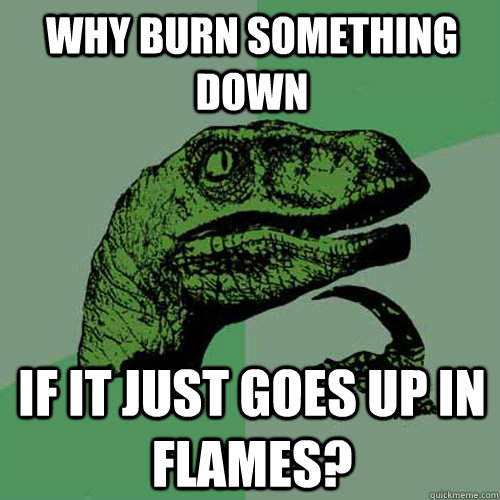 why burn something down if it just goes up in flames? - why burn something down if it just goes up in flames?  Philosoraptor