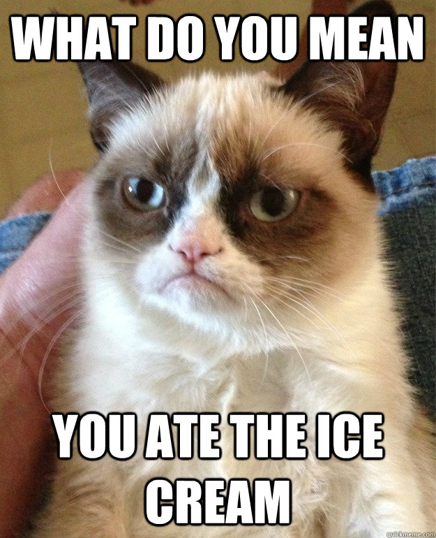 what do you mean you ate the ice cream  Grumpy Cat