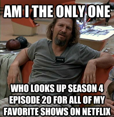 Am I the only one Who looks up season 4 episode 20 for all of my favorite shows on netflix  The Dude