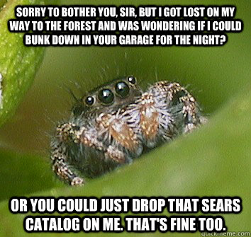 Sorry to bother you, sir, but I got lost on my way to the forest and was wondering if i could bunk down in your garage for the night? Or you could just drop that Sears catalog on me. That's fine too. - Sorry to bother you, sir, but I got lost on my way to the forest and was wondering if i could bunk down in your garage for the night? Or you could just drop that Sears catalog on me. That's fine too.  Misunderstood Spider